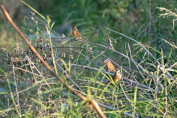 blog_pic01393.jpg