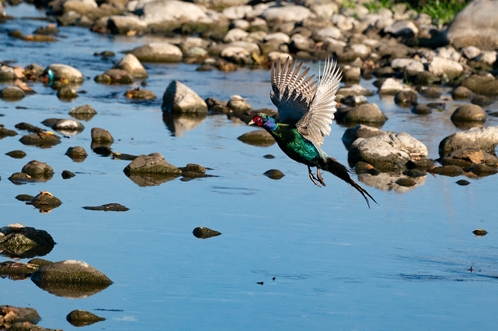 blog_pic01394.jpg