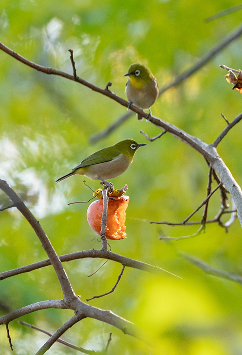blog_pic01398.jpg