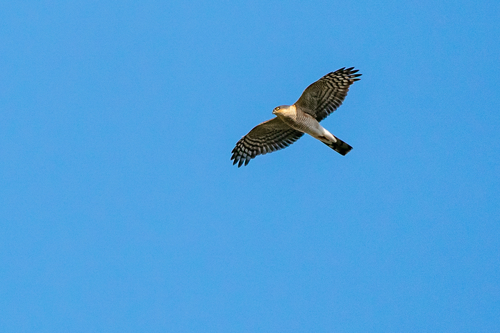 blog_pic01399.jpg
