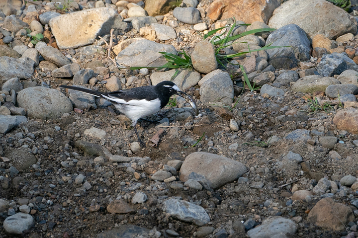 blog_pic01402.jpg
