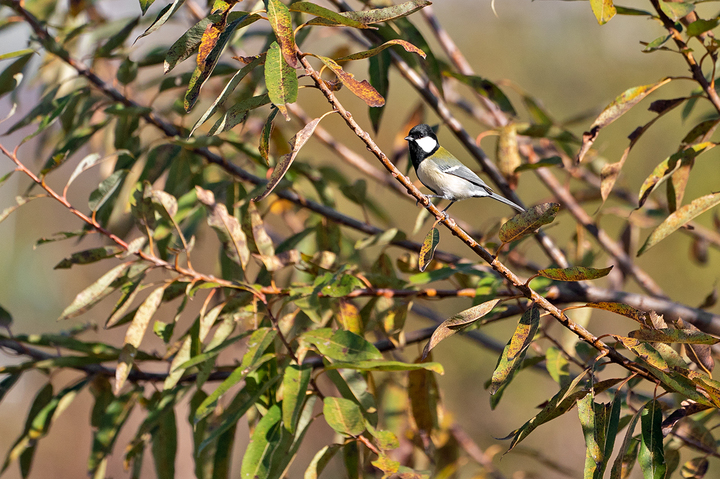 blog_pic01403.jpg