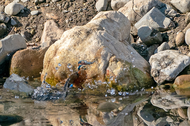 blog_pic01405.jpg