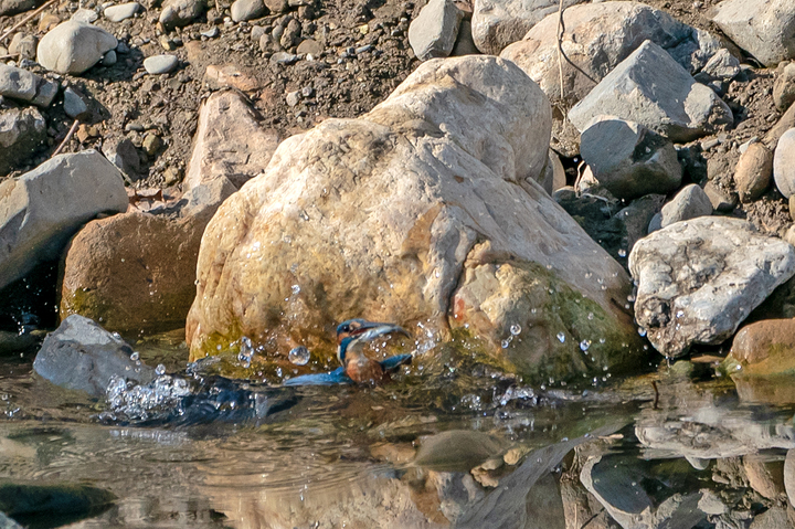 blog_pic01406.jpg