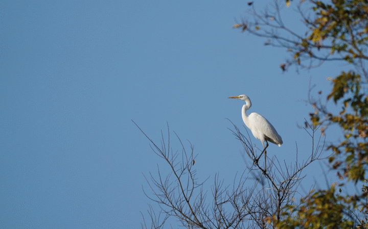 blog_pic01411.gif