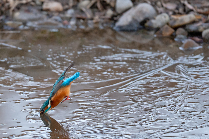 blog_pic01537.jpg