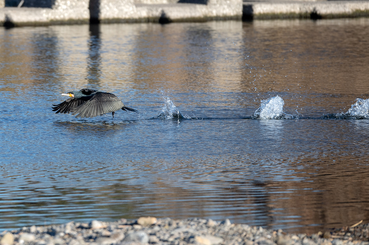blog_pic01545.jpg