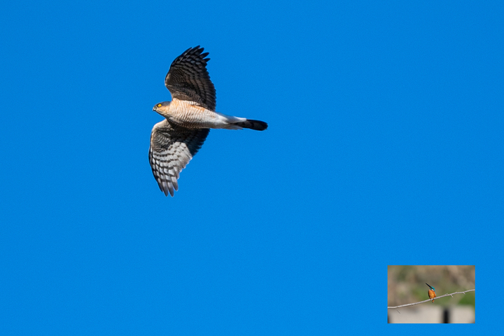 blog_pic01548.jpg
