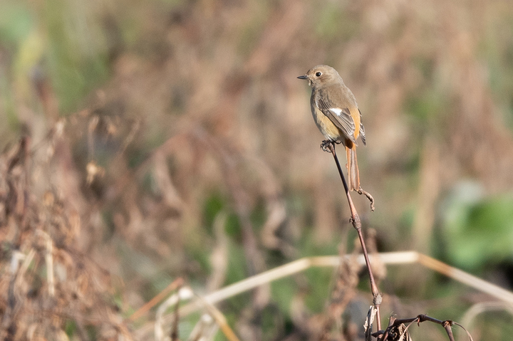 blog_pic01565.jpg