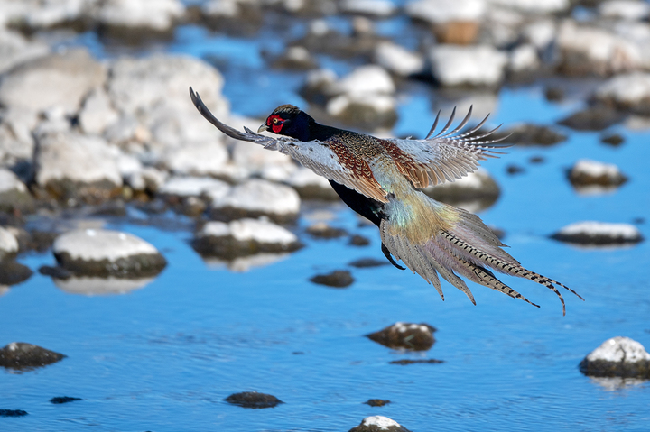 blog_pic01569.jpg