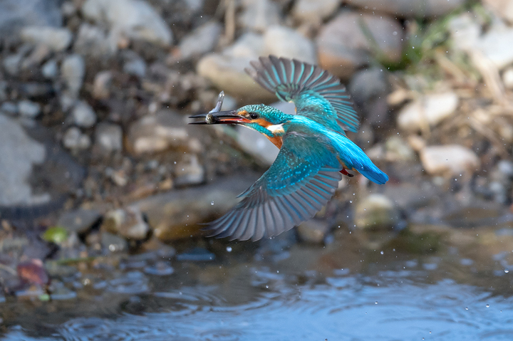 blog_pic01573.jpg