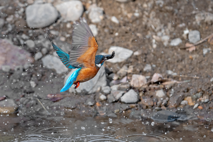 blog_pic01577.jpg