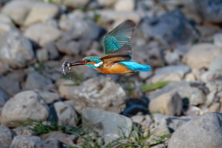 blog_pic01592.jpg