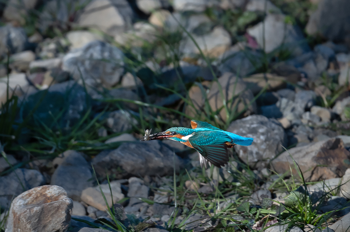 blog_pic01599.jpg