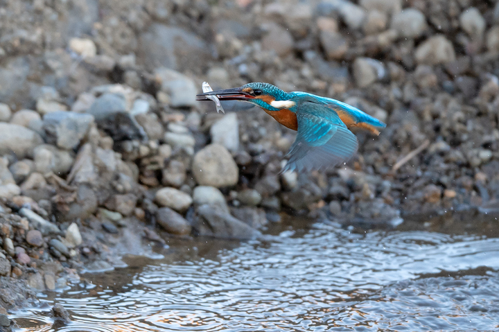 blog_pic01605.jpg