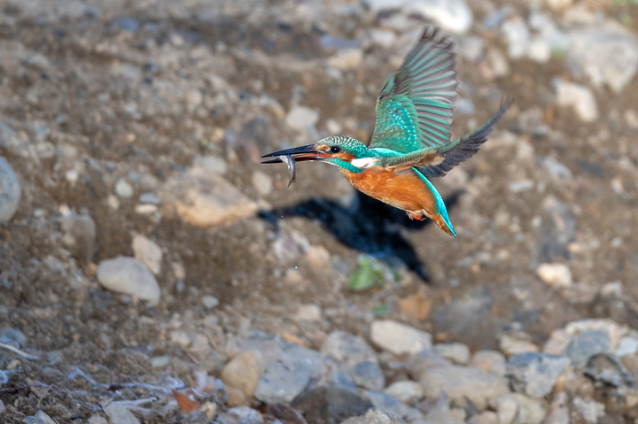 blog_pic01607.jpg