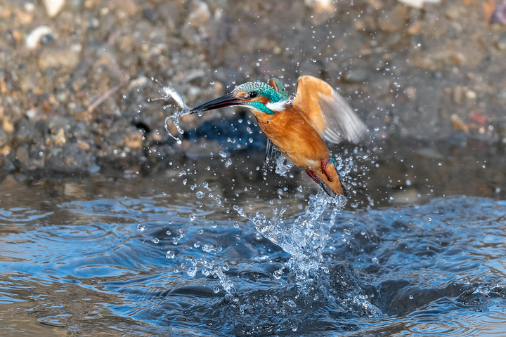 blog_pic01609.jpg