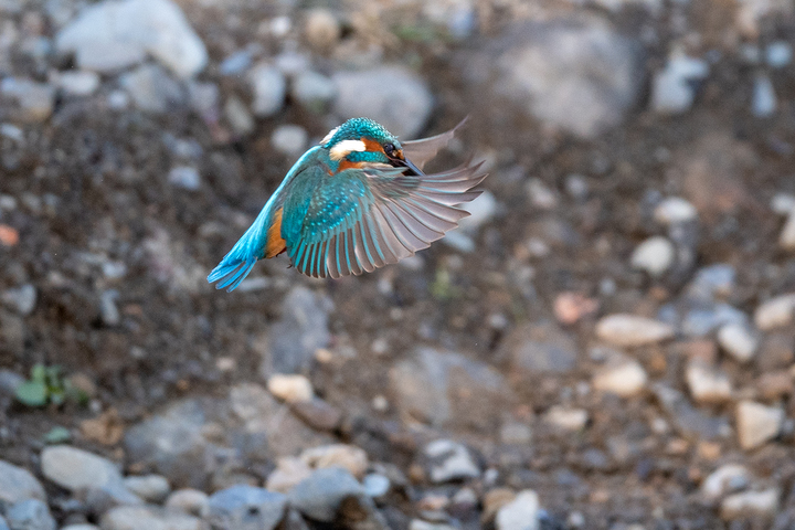 blog_pic01618.jpg