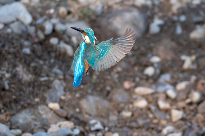 blog_pic01619.jpg