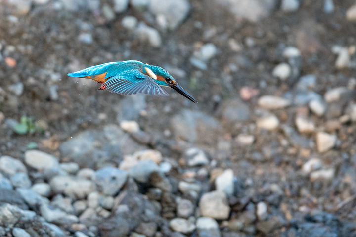 blog_pic01620.jpg