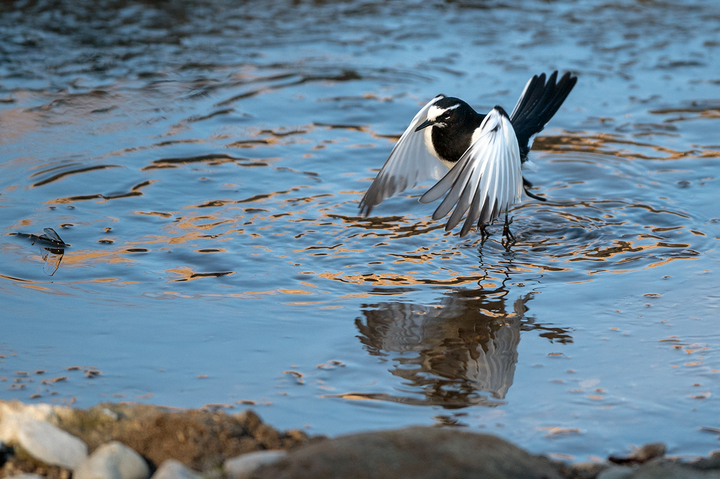 blog_pic01628.jpg