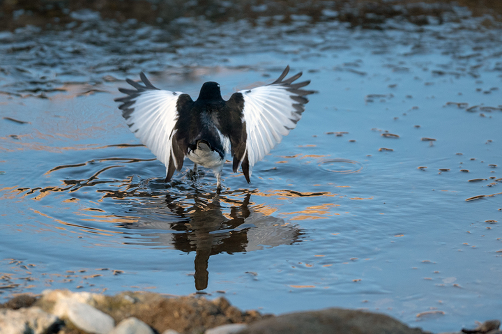 blog_pic01629.jpg
