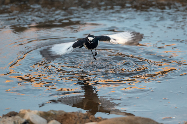 blog_pic01630.jpg