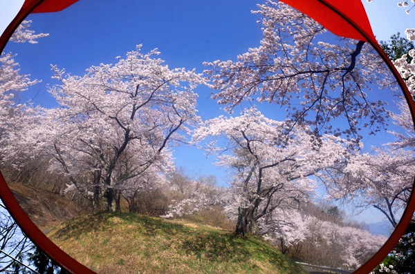 blog_pic10121.jpg
