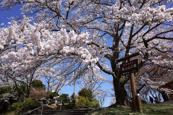 blog_pic10123.jpg