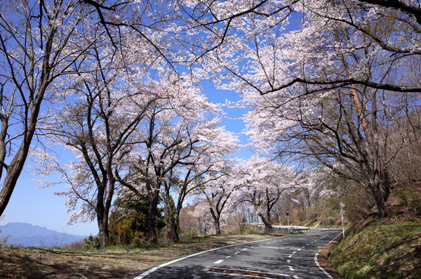 blog_pic10124.jpg