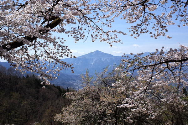 blog_pic10125.jpg
