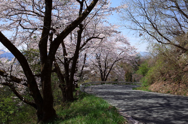 blog_pic10126.jpg