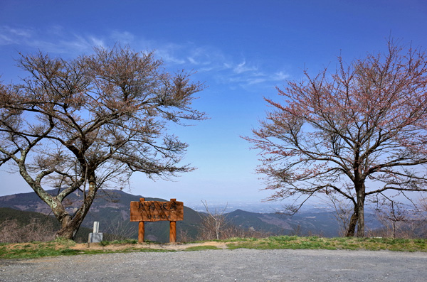 blog_pic10130.jpg