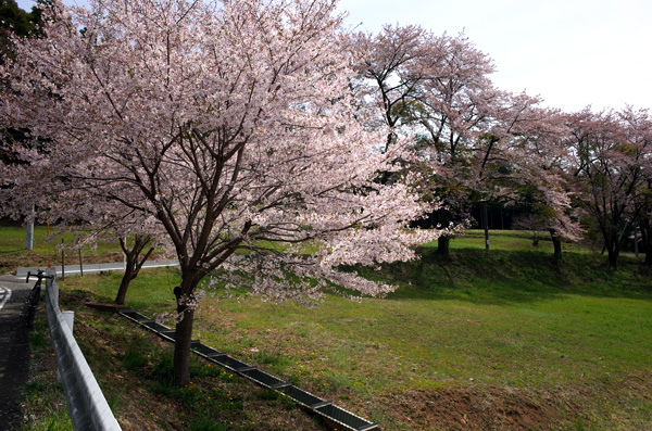 blog_pic10133.jpg