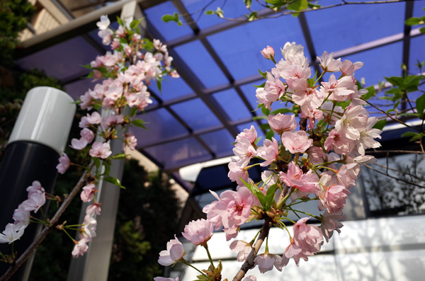 blog_pic10137.jpg