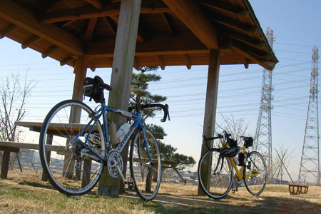 blog_pic1037.jpg