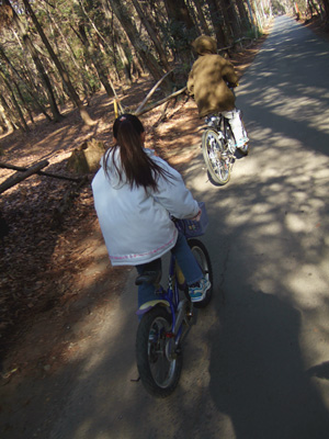 blog_pic1097.jpg