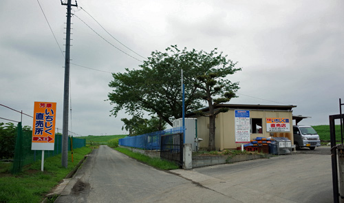 blog_pic12621.jpg