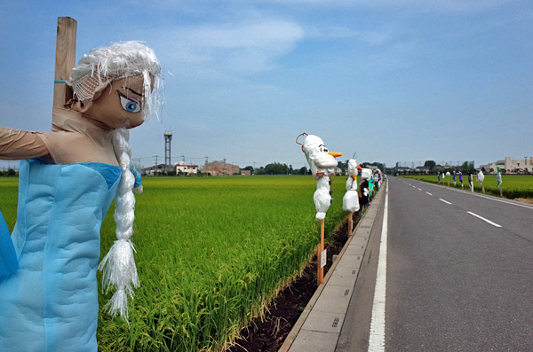 blog_pic12623.jpg