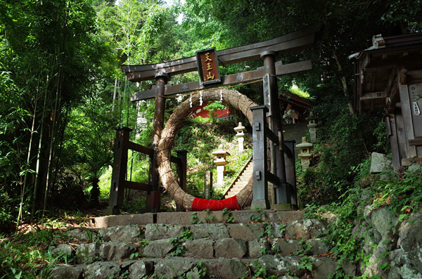 blog_pic12624.jpg