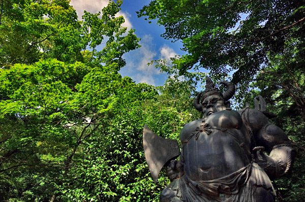 blog_pic12625.jpg