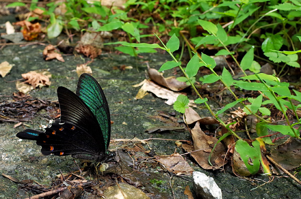 blog_pic12626.jpg