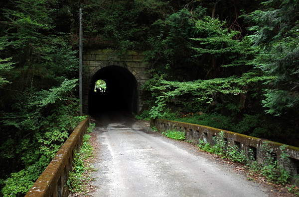 blog_pic12657.jpg