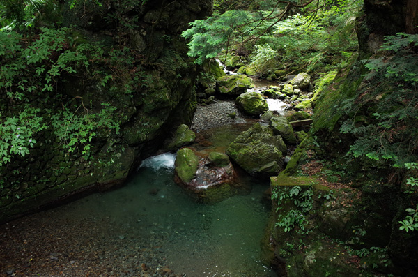 blog_pic12658.jpg