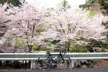 blog_pic1275.jpg