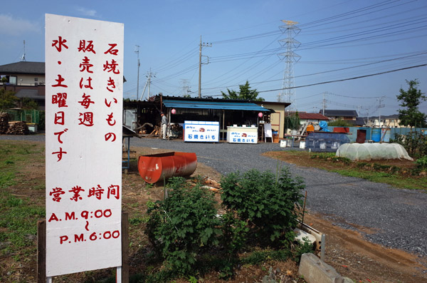 blog_pic12770.jpg