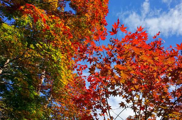 blog_pic12870.jpg