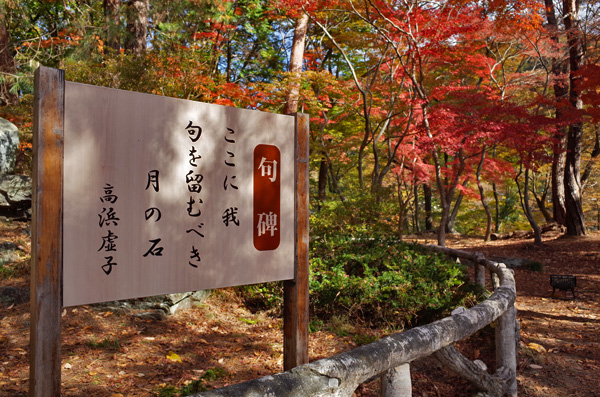 blog_pic12871.jpg