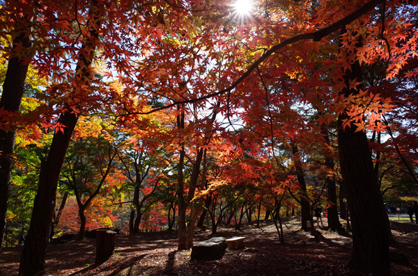 blog_pic12872.jpg
