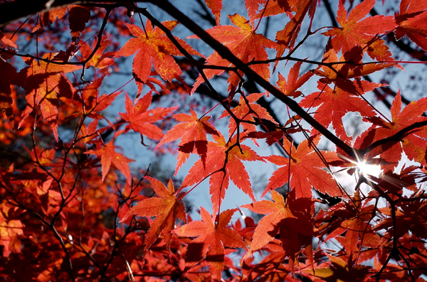 blog_pic12873.jpg
